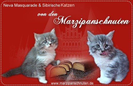 Bild "Links:marzip_0111.jpg"